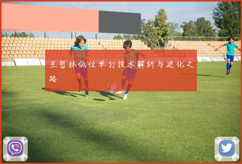 王哲林低位单打技术解析与进化之路