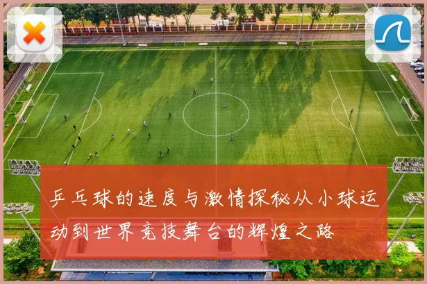乒乓球的速度与激情探秘从小球运动到世界竞技舞台的辉煌之路