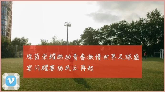 绿茵荣耀燃动青春激情世界足球盛宴闪耀赛场风云再起