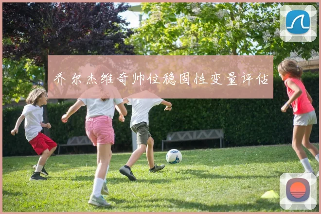 乔尔杰维奇帅位稳固性变量评估