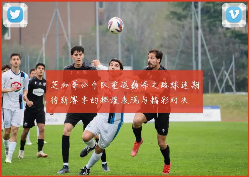 芝加哥公牛队重返巅峰之路球迷期待新赛季的辉煌表现与精彩对决