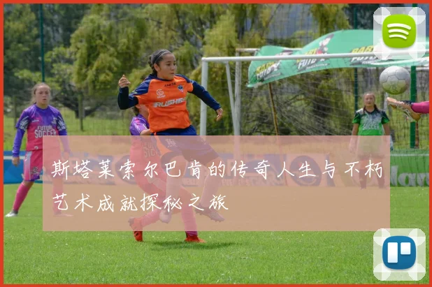 斯塔莱索尔巴肯的传奇人生与不朽艺术成就探秘之旅